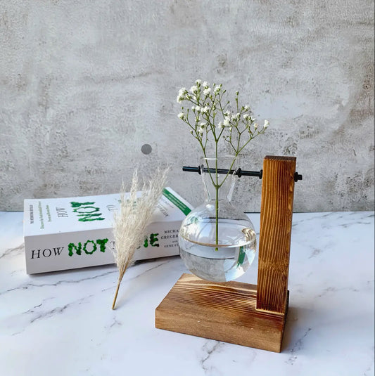 Single Glass bulb Planter with Wooden stand